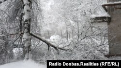 Обильный снегопад поломал множество деревьев в Донецке