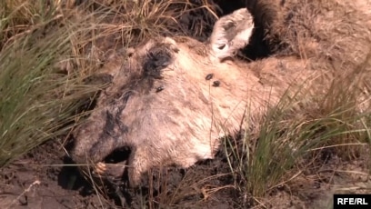 Николь Энистон онлайн порно видео