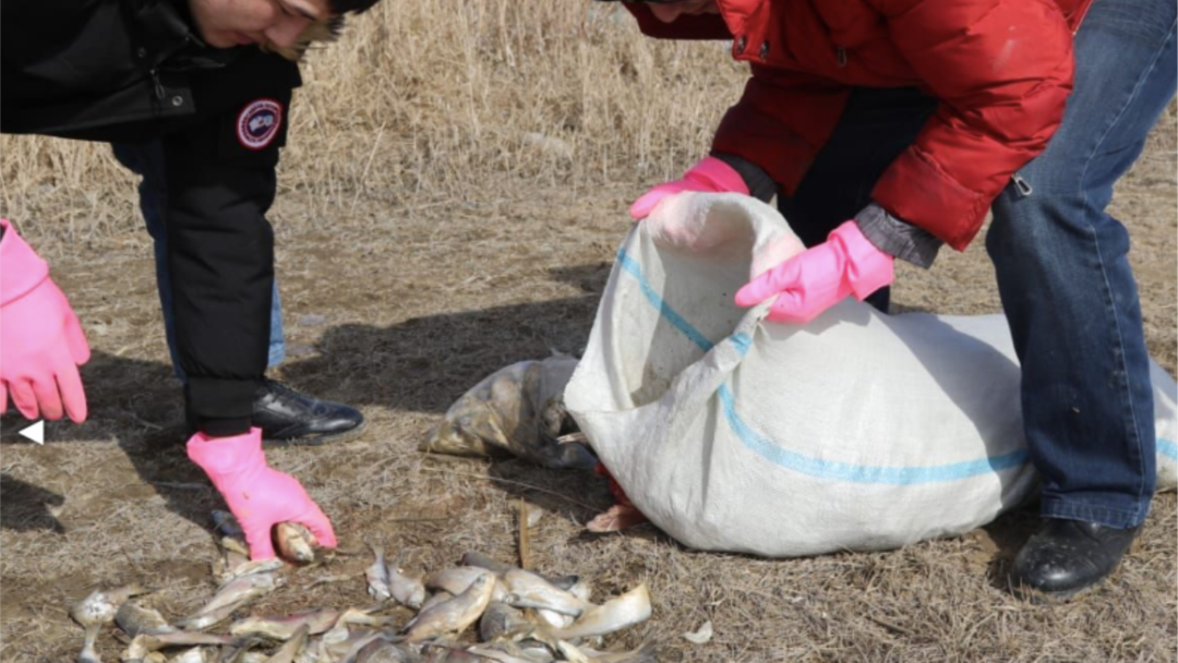 Егде жастағы әйелдер жас жігіттерді трассалайды (фото)