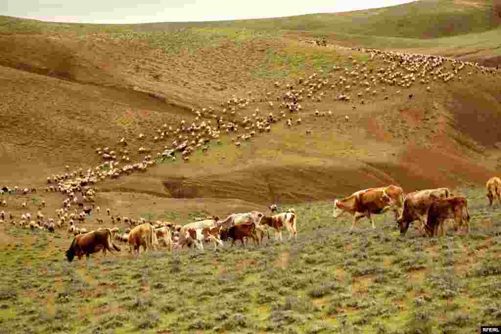 A Spring Passage Through The Caucasus #2