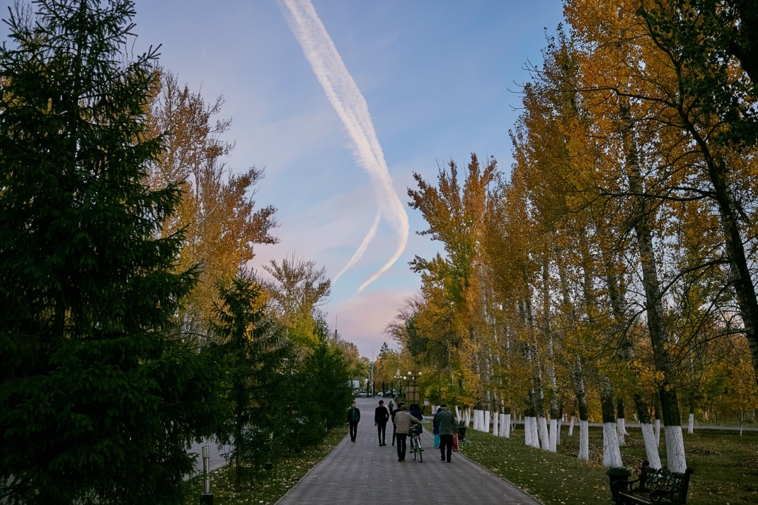 Транссексуалдық порно фильмдерді қараңыз