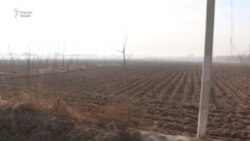 Сабаби камбизоатии деҳқонони тоҷик тарзи бесамари корашон будааст