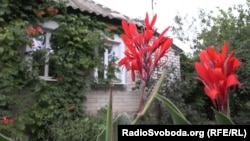 Будинок родини в Ямполі. Серпень 2023