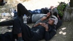 په تېرو دوه اونیو کې ١٦٠٠ غیر قانوني افغان پناه غوښتونکي د ترکیې په وانت ولایت کې نیول شوي.