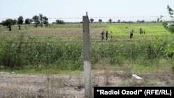 Узбекско-таджикская граница. Иллюстративное фото.