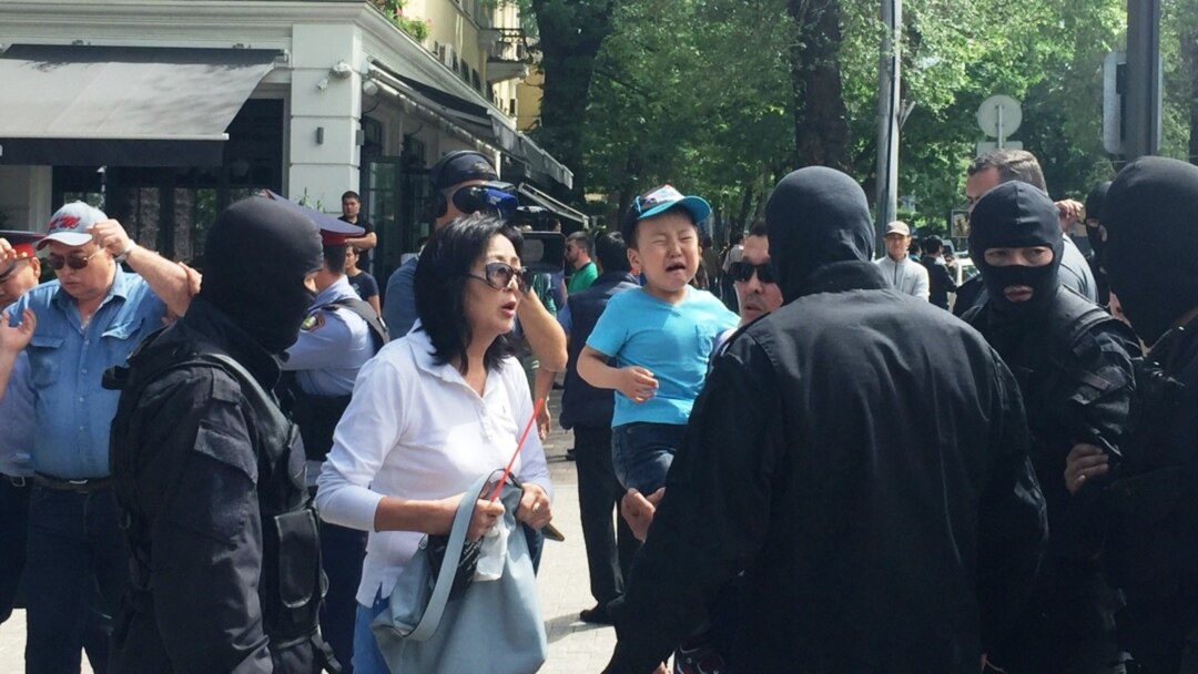 Клитін жалап жатқан аққұбаның фотосы