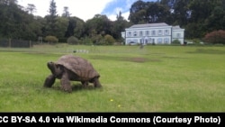 Джонатан в доме на плантации Святой Елены, март 2020 года