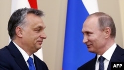 Presidenti i Rusisë, Vladimir Putin dhe kryeministri i Hungarisë, Viktor Orban 