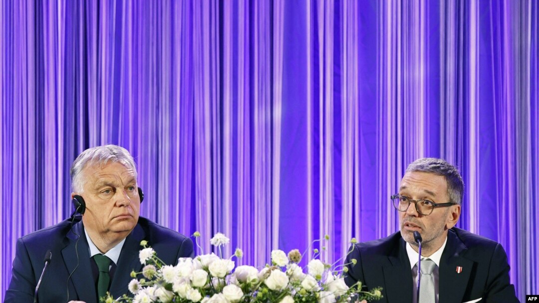 Виена - унгарскиот премиер Виктор Орбан (лево) на состанок со претседателот на десничарската Партија на слободата на Австрија, Херберт Кикл, 30 јуни 2024 година.

