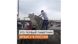 На Алтае появился памятник снежным барсам