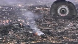 Доклад Нидерландов по MH17 вряд ли будет исчерпывающим – эксперт (видео)