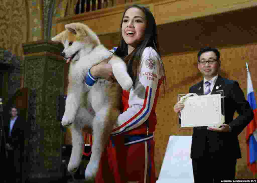 Olympic figure-skating gold medalist Alina Zagitova of Russia holds an Akita Inu puppy named Masaru, which was presented by Japanese Prime Minister Shinzo Abe during a visit to Moscow. (AP/Alexander Zemlianichenko)