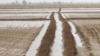 Власти Лебапского велаята возобновили процесс заключения с фермерами новых договоров