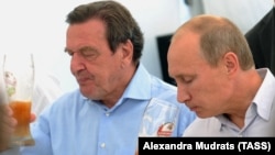 Архивска фотографија: Шредер и Путин пијат пиво во 2011 година