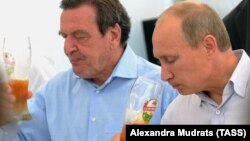 Герхард Шредер и Владимир Путин, 2011 год
