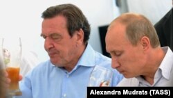 Володимир Путін та Герхард Шредер, колишній канцлер Німеччини, а потім голова ради директорів компанії «Роснефть». Виборг, Росія. 6 вересня 2011 року
