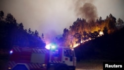 Лесные пожары в окрестностях Боука, в центральной части Португалии, 18 июня 2017