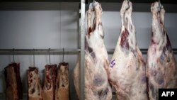 Izvoz mesa, fotoarhiv
