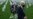 Biden Announces End Of 'America's Longest War,' Withdrawal From Afghanistan By September 11