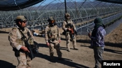 Мыйзамсыз мигранттарга каршы рейд. Калифорния, 10-июль 2025-жыл 
