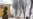 Belarusian Activist Faces Fine For Defacing Lenin Statue