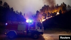 У Португалії горять ліси, 18 червня 2017 року