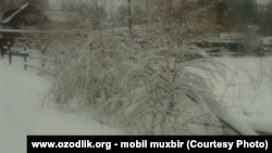 Архивно-иллюстративное фото