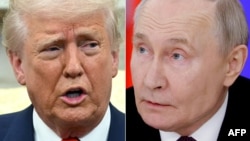 Дональд Трамп, Уладзімір Пуцін. Каляж