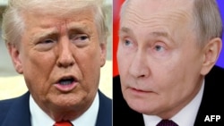 D.Tramp və V.Putin