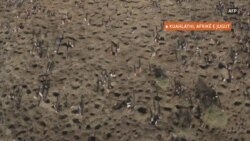 Shpresat te diamantet