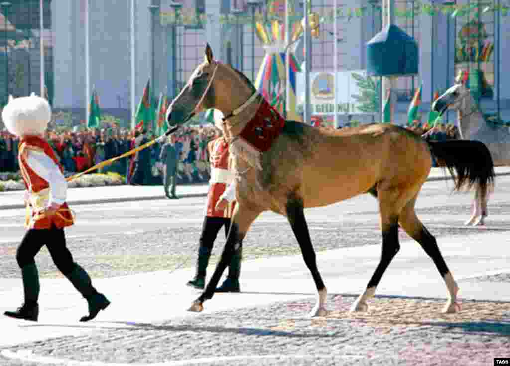 Saparmurad Niyazovun atı Türkmənistanın müstəqilliyinin 13-cü ildönümünə həsr olunan paradda iştirak edir, Aşqabad, 27 oktyabr 2004