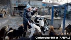 Tamara Tarnavska feeds rescued strays at the SOS International Animal Protection Society site in Kyiv in December 2018.