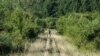 &laquo;Мандрівка довжиною в тисячі кілометрів починається з одного кроку&raquo; &ndash; так говорив китайський філософ Лао-цзи. Так само і для особи, яка йде покинутою ділянкою Боржавської вузькоколійної залізниці, &ndash; це маленька подорож