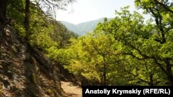 Кримський природний заповідник, вересень 2019