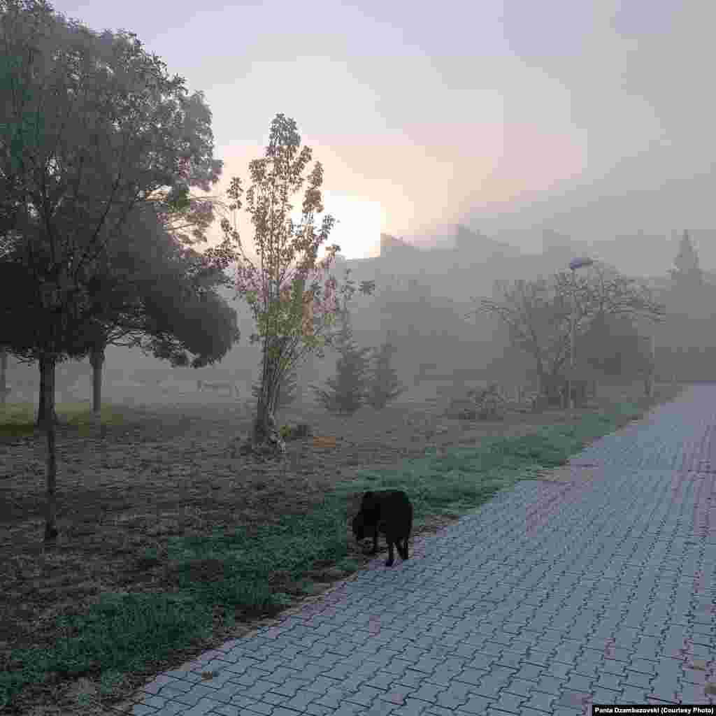 Зимска магла во септември - коментираат скопјани