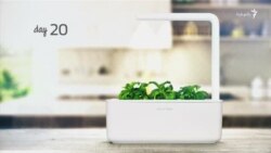 نمایشگاه کالاهای الکترونیکی اروپا؛ از پهپاد ضد آب تا باغچه هوشمند