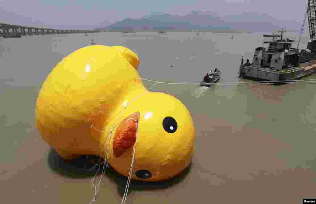 People set up a scale replica of a rubber duck, originally created by Dutch conceptual artist Florentijn Hofman, on a river in Wenzhou, China. (Reuters)