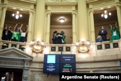 سنای آرژانتین دقایقی پس از رأی به قانون سقط جنین