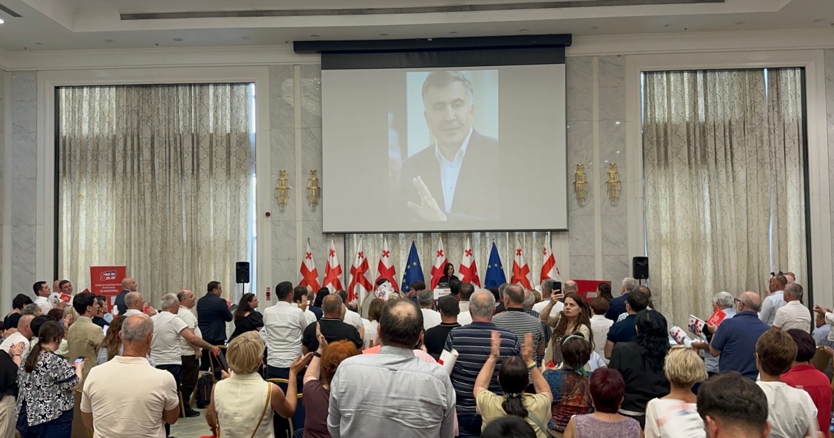 „ნაცმოძრაობის“ დროებითი მმართველი საბჭოს თავმჯდომარე ირაკლი ფავლენიშვილი გახდა