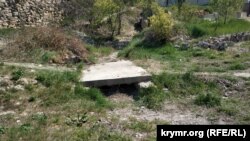 По дну Докового оврага проложили русло дождевые воды