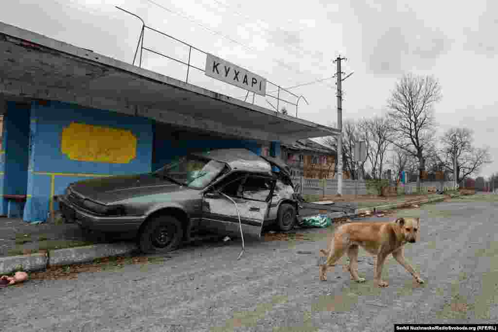 Звільнене село Кухарі, в районі Іванкова на Київщині, 30 березня 2022 року 