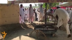 Пакистан. Стерчийн къовсам