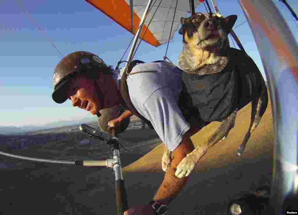 Dan McManus and his service dog Shadow hang glide together outside Salt Lake City, Utah. (Reuters/Jim Urquhart)