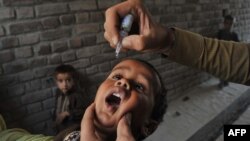 Дітей в Афганістані вакцинують від поліомієліту, серпень 2013 року