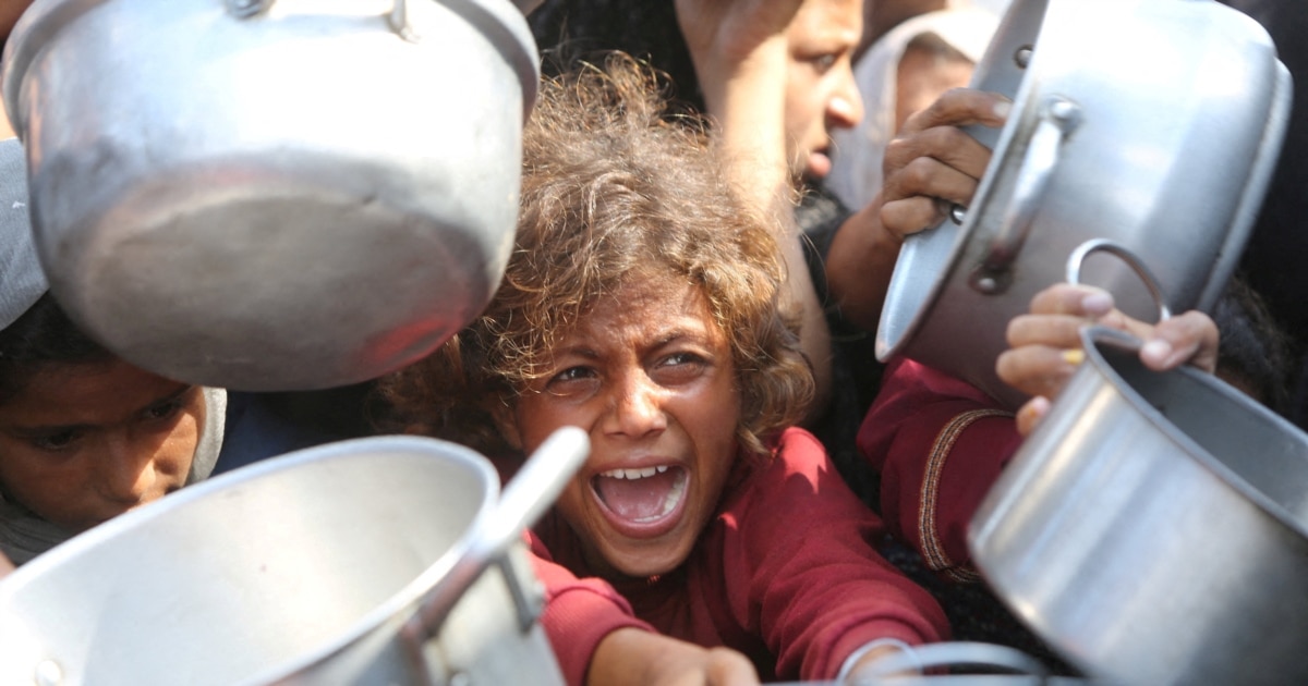 Газа и околните райони официално страдат от глад и той