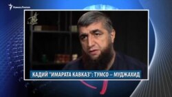 Видеоновости Кавказа 14 ноября
