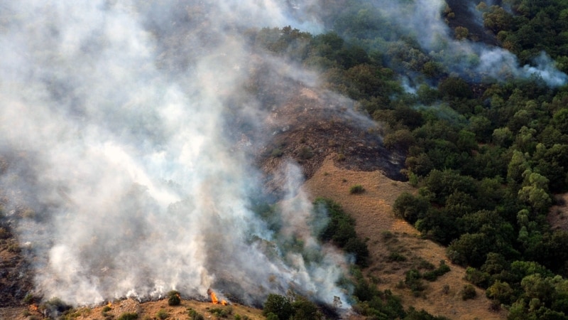 Глава села Урцадзор не исключает, что причиной пожара в Хосровском заповеднике стал человеческий фактор