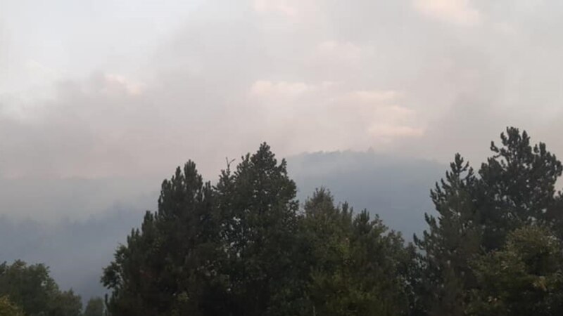 ЦУК информираше за пожарите - Кај Будинарци малку стивнал, силно гори во Прилепско