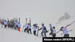 د ژمنیو لوبو د لوبغاړو یو انځور