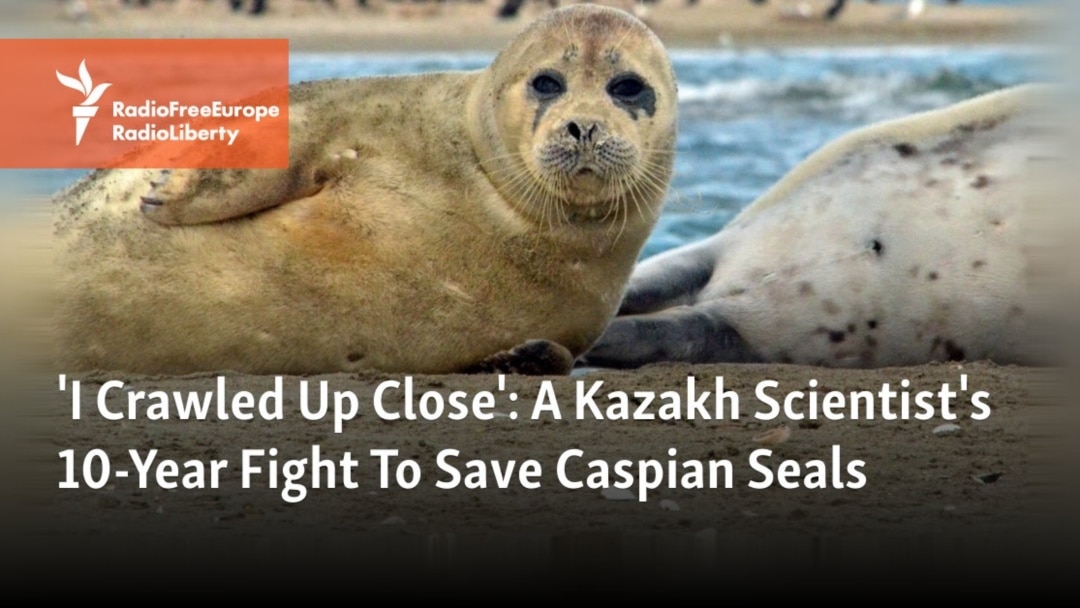 77B64835-4D06-461E-9F40-